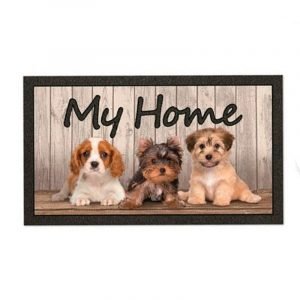 Felpudo Format 40x68 Cani My Home
