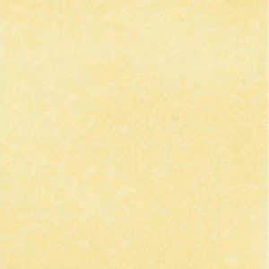 PAPEL PINTADO BLOOM 55314