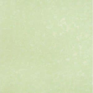 PAPEL PINTADO BLOOM 55323